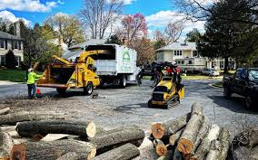 Best Commercial Tree Services  in Ferrum, VA